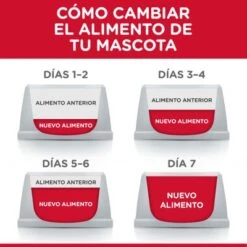 Hill's Science Plan Hill's Puppy <1 Medium Science Plan Con Cordero Y Arroz 11 Hill's Science Plan Hill's Puppy <1 Medium Science Plan Con Cordero Y Arroz -Suministros Para Mascotas atf6 604335 feeding transition 3