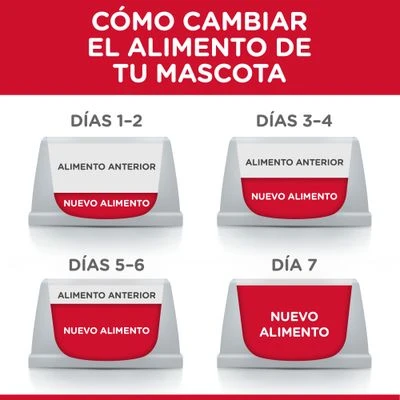 Hill's Science Plan Hill's Puppy <1 Medium Science Plan Con Cordero Y Arroz 5 Hill's Science Plan Hill's Puppy <1 Medium Science Plan Con Cordero Y Arroz - Imagen 5