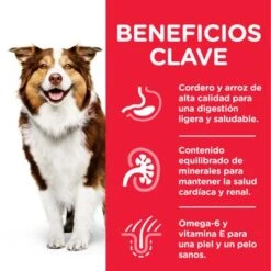 Hill's Science Plan Hill's Mature Adult 7+ Medium Science Plan Con Cordero Y Arroz -Suministros Para Mascotas atf8 604379 key benefits 3