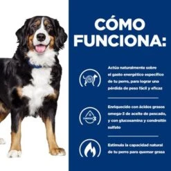 Hill's Prescription Diet Metabolic + Mobility Latas Para Perros -Suministros Para Mascotas bk31839m ongoing how it works es 6