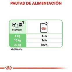 Royal Canin CCN Digestive Care Mousse Para Perros -Suministros Para Mascotas ccn 1 6