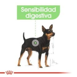 Royal Canin CCN Digestive Care Mousse Para Perros -Suministros Para Mascotas ccn 3 3
