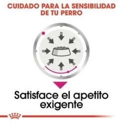 Royal Canin CCN Exigent Care Mousse Para Perros -Suministros Para Mascotas ccn 6 0