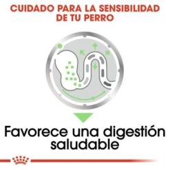 Royal Canin CCN Digestive Care Mousse Para Perros -Suministros Para Mascotas ccn 9 1