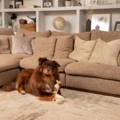 Pet Head Sensitive Soul Champú, Acondicionador Y Spray Para Perros -Suministros Para Mascotas companyofanimals pethead sensitivesoul set3teilig hs 08 9