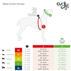 Arnés Curli Belka Comfort Negro Para Perros -Suministros Para Mascotas curli belka comfort geschirr sizes 0