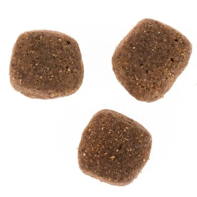 Wolf Of Wilderness The Taste Of Scandinavia 7 Wolf Of Wilderness The Taste Of Scandinavia - Imagen 7