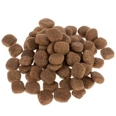 Wolf Of Wilderness The Taste Of Scandinavia 6 Wolf Of Wilderness The Taste Of Scandinavia - Imagen 6