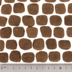 Wolf Of Wilderness The Taste Of Scandinavia 12 Wolf Of Wilderness The Taste Of Scandinavia -Suministros Para Mascotas dsc2637 5