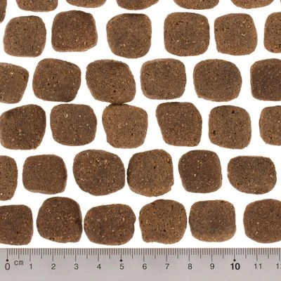 Wolf Of Wilderness The Taste Of Scandinavia 4 Wolf Of Wilderness The Taste Of Scandinavia - Imagen 4