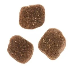 Wolf Of Wilderness The Taste Of The Mediterranean -Suministros Para Mascotas dsc2639 2