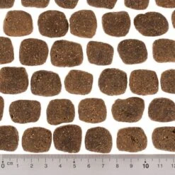 Wolf Of Wilderness The Taste Of The Mediterranean -Suministros Para Mascotas dsc2642 0