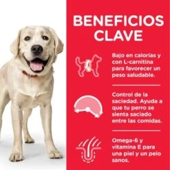 Hill's Science Plan Hill's Adult 1-5 Light Large Science Plan Con Pollo 11 Hill's Science Plan Hill's Adult 1-5 Light Large Science Plan Con Pollo -Suministros Para Mascotas es dog adult large light chicken transition benefits 1 8