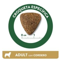 Affinity Libra Adult Con Cordero Pienso Para Perros 8 Affinity Libra Adult Con Cordero Pienso Para Perros -Suministros Para Mascotas kibble libra dog adult lamb es 0