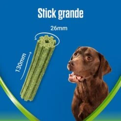 PURINA Dentalife Active Fresh Snacks Dentales Para Perros Grandes 16 PURINA Dentalife Active Fresh Snacks Dentales Para Perros Grandes -Suministros Para Mascotas l 1 6
