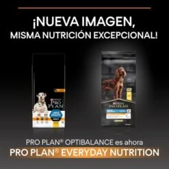 PURINA PRO PLAN Large Athletic Adult Everyday Nutrition -Suministros Para Mascotas la 14 4