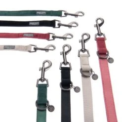 Correa Nomad Tales Blush Vino Para Perros 33 Correa Nomad Tales Blush Vino Para Perros -Suministros Para Mascotas nomad tales bloom halsbaender fg 1433 3 2