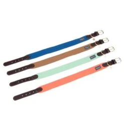 Collar Nomad Tales Bloom Caramelo Para Perros 29 Collar Nomad Tales Bloom Caramelo Para Perros -Suministros Para Mascotas nomad tales bloom halsbaender fg 1487 3