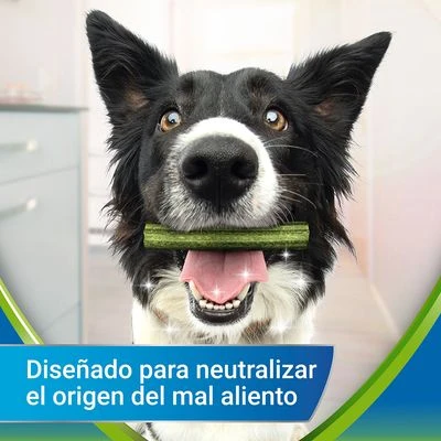 PURINA Dentalife Active Fresh Snacks Dentales Para Perros Grandes 2 PURINA Dentalife Active Fresh Snacks Dentales Para Perros Grandes - Imagen 2