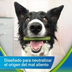 PURINA Dentalife Active Fresh Snacks Dentales Para Perros Medianos -Suministros Para Mascotas objective 8