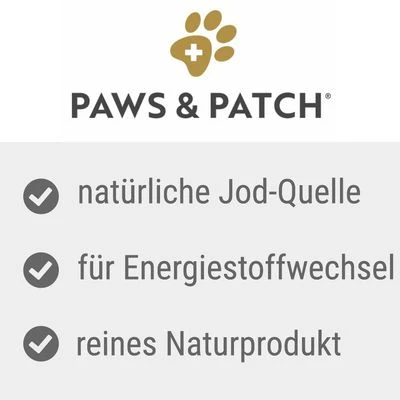PAWS & PATCH Harina De Algas 2 PAWS & PATCH Harina De Algas - Imagen 2