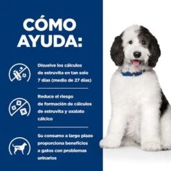 Hill's C/d Prescription Diet Multicare Urinary Comida Húmeda Para Perros 17 Hill's C/d Prescription Diet Multicare Urinary Comida Húmeda Para Perros -Suministros Para Mascotas pd cd dog bk26434m bk32581 bk28303 bk28465 how helps es 4