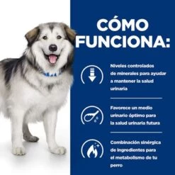Hill's C/d Urinary Care + Metabolic Prescription Diet Pienso Para Perros -Suministros Para Mascotas pd cd metabolic dog bk27895m how works es 9