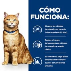 Hill's C/d Prescription Diet Multicare Urinary Care Sobres Para Gatos -Suministros Para Mascotas pd cd multicare cat bk20177 bk25948m bk26382m bk27563m bk28017 how works es 1