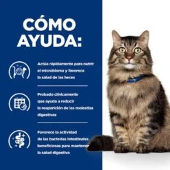 Hill's Gastrointestinal Biome Prescription Diet Estofado Para Gatos 15 Hill's Gastrointestinal Biome Prescription Diet Estofado Para Gatos -Suministros Para Mascotas pd gibiome cat bk32326m bk31171 how helps es 2