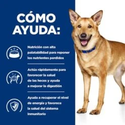 Hill's I/d Prescription Diet Digestive Care Pienso Para Perros -Suministros Para Mascotas pd id dog bk30978m bk31617 bk30920 how helps es 8