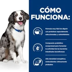 Hill´s I/d Prescription Diet Digestive Care Sensitive Pienso Para Perros -Suministros Para Mascotas pd id lf sensitive activebiome dog bk30979m how works es 4