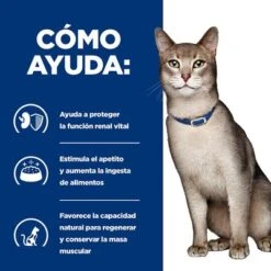 Hill's K/d Prescription Diet Sobres Comida Húmeda Para Gatos -Suministros Para Mascotas pd kd cat bk24099m bk27458 bk32595m bk27531m bk32702 bk28857m bk27532m how helps es 7