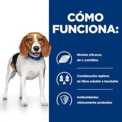 Hill's R/d Prescription Diet Weight Reduction Pienso Para Perros 15 Hill's R/d Prescription Diet Weight Reduction Pienso Para Perros -Suministros Para Mascotas pd rd dog bk24536m bk27973 how works es 6