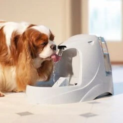 Fuente De Agua Para Mascotas Drinkwell Platinum De PetSafe 12 Fuente De Agua Para Mascotas Drinkwell Platinum De PetSafe -Suministros Para Mascotas pla radiosystems drinkwellplatinumtrinkbrunnen 5liter dog 1