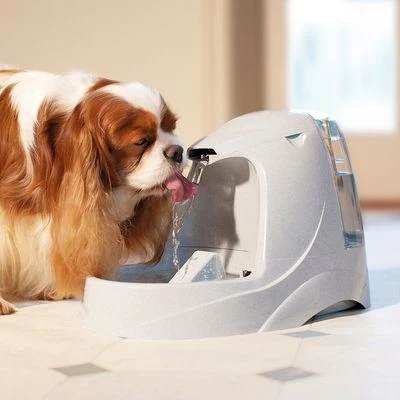 Fuente De Agua Para Mascotas Drinkwell Platinum De PetSafe 6 Fuente De Agua Para Mascotas Drinkwell Platinum De PetSafe - Imagen 6