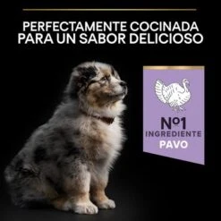 PURINA PRO PLAN All Sizes Puppy Sensitive Digestion Sin Cereales Con Pavo -Suministros Para Mascotas pu proplan dog sdgrainfree allsize flavour 0