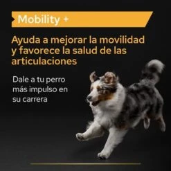 PRO PLAN Dog Adult Mobility Supplement En Polvo 14 PRO PLAN Dog Adult Mobility Supplement En Polvo -Suministros Para Mascotas pu supplementals atf mobility a 220513 es es 6