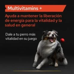 PRO PLAN Dog Adult Multivitamins Supplement Comprimidos -Suministros Para Mascotas pu supplementals atf multivitamins dog a 220513 es es 9