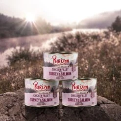 Purizon Adult 6 X 200 G Comida Húmeda Para Gatos, Sin Cereales 19 Purizon Adult 6 X 200 G Comida Húmeda Para Gatos, Sin Cereales -Suministros Para Mascotas purizon idcard cat adult wet turkey 1000x1000 2 3 1