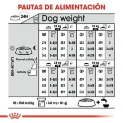 Royal Canin Maxi Dermacomfort 10 Royal Canin Maxi Dermacomfort -Suministros Para Mascotas rc ccn dermamax cv eretailkit 7 es es 0