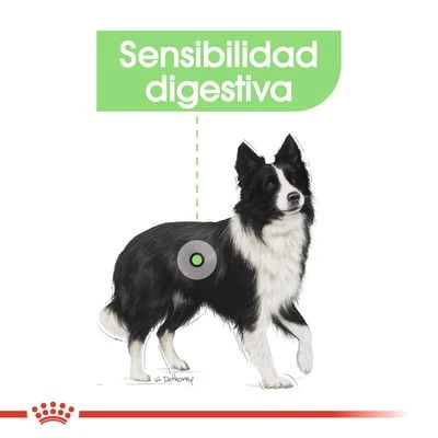 Royal Canin Medium Digestive Care 3 Royal Canin Medium Digestive Care - Imagen 3