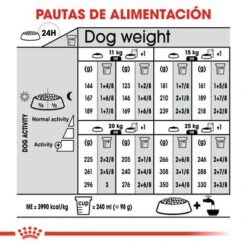 Royal Canin Medium Digestive Care 12 Royal Canin Medium Digestive Care -Suministros Para Mascotas rc ccn digestivemedium cv eretailkit 7 es es 3