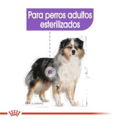 Royal Canin Medium Adult Sterilised -Suministros Para Mascotas rc ccn sterilisedmed cv eretailkit 2 es es 5