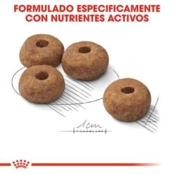 Royal Canin Medium Adult Sterilised -Suministros Para Mascotas rc ccn sterilisedmed cv eretailkit 5 es es 8