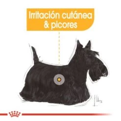 Royal Canin CCN Dermacomfort Mousse Para Perros -Suministros Para Mascotas rc ccn wet dermacomfort cv eretailkit 1 es es 1 0