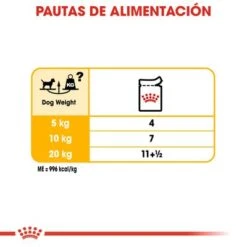Royal Canin CCN Dermacomfort Mousse Para Perros -Suministros Para Mascotas rc ccn wet dermacomfort cv eretailkit 5 es es 1 6