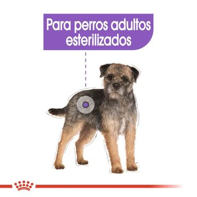Royal Canin CCN Sterilised Mousse Para Perros 6 Royal Canin CCN Sterilised Mousse Para Perros - Imagen 6