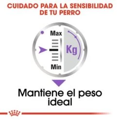 Royal Canin CCN Sterilised Mousse Para Perros 10 Royal Canin CCN Sterilised Mousse Para Perros -Suministros Para Mascotas rc ccn wet sterilised cv eretailkit 3 es es 1 9