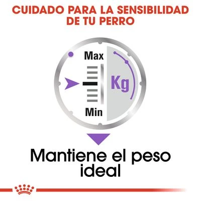 Royal Canin CCN Sterilised Mousse Para Perros 4 Royal Canin CCN Sterilised Mousse Para Perros - Imagen 4