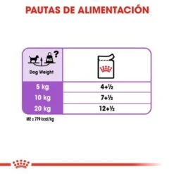 Royal Canin CCN Sterilised Mousse Para Perros 13 Royal Canin CCN Sterilised Mousse Para Perros -Suministros Para Mascotas rc ccn wet sterilised cv eretailkit 5 es es 1 3